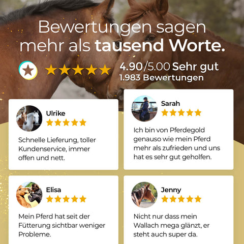 Deutsche Fünf-Sterne-Bewertungen von Pferdegold Nerven Pferdepflegeprodukten, oft mit Fotos von Menschen und Pferden im Hintergrund.