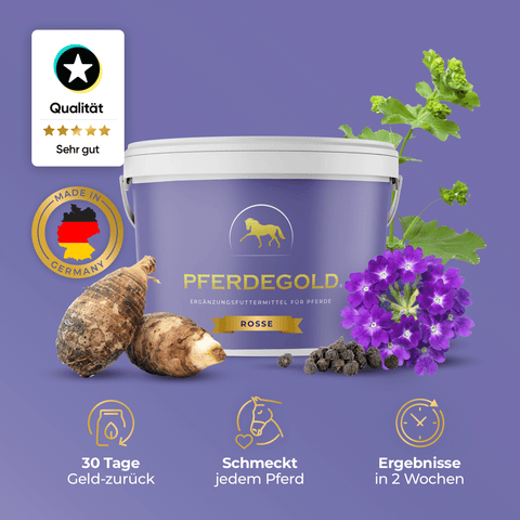 Der violette Becher mit Pferdegold Rosse enthält Wurzeln, Blumen und Symbole, die auf die Vorteile von Vitaminen zur Unterstützung des hormonellen Gleichgewichts und zur Hilfe bei Problemen mit Stuten hinweisen.
