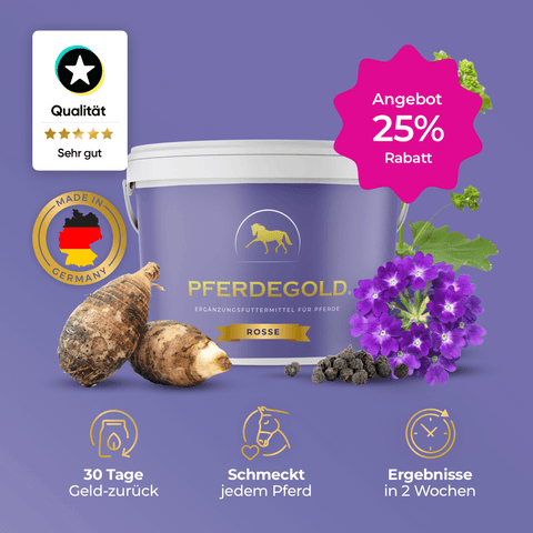 Pferdegold® Rosse Pferdeergänzungswanne mit Kräutern und Symbolen auf lila Hintergrund. Erhalten Sie 25% Rabatt von Pferdegold! Unterstützt Ihr Pferd mit Vitaminen und hilft bei Rosseproblemen.