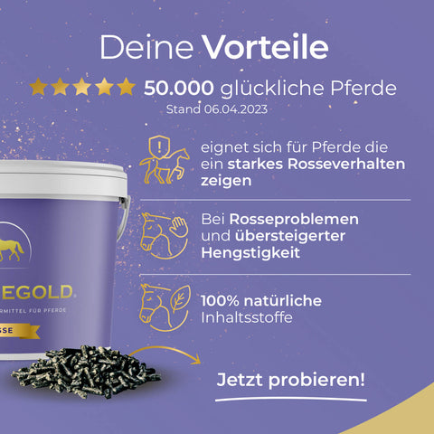 Die lila-gelbe Pferdegold Rosse Pferdefutter-Anzeige zeigt einen Eimer, Pellets, Icons und Text, der die Vorteile wie zusätzliche Vitamine und Unterstützung bei Rosseproblemen hervorhebt.