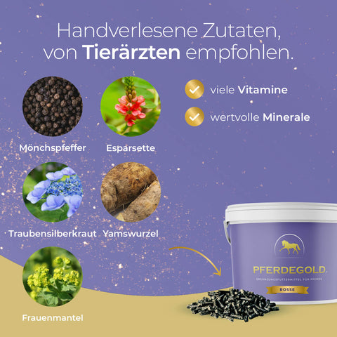 Pferdegold Rosse Pferd Ergänzung Eimer zeigt Kräuter und hebt die wichtigsten Zutaten, Vitamine, Pferd Gesundheit Vorteile und Unterstützung für die Stimmung Fragen wie rosseproblemen und hengstigheid.