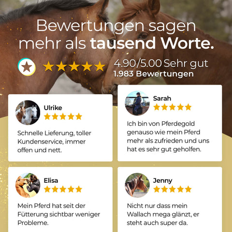 Sternbewertungen und Fotos zeigen Erfahrungen mit Pferdegold Rosse - perfekt für alle, die Wissen zu Vitaminen bei Rosseproblemen suchen; im Hintergrund sind zwei braune Pferde zu sehen.