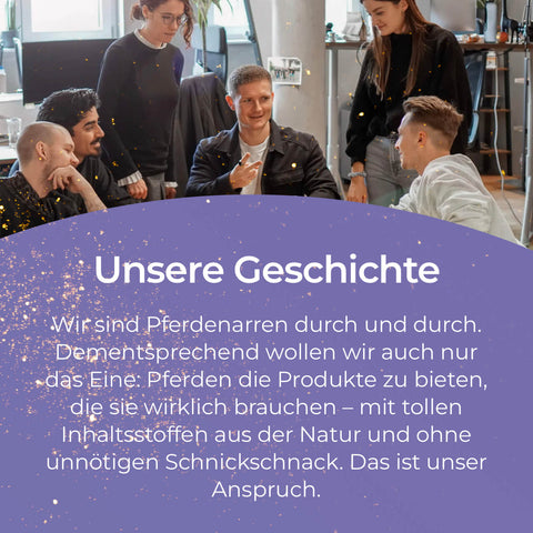 Fünf Menschen sitzen entspannt im modernen Büro und sprechen über Rosse von Pferdegold und den Einfluss seiner Vitamine auf die Gesundheit.
