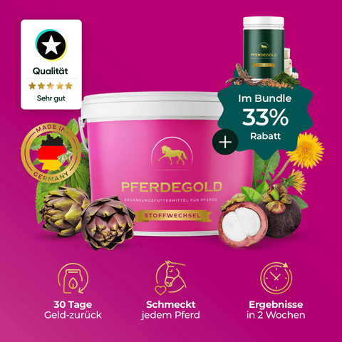 Pferdegold® Stoffwechsel & Darm akut 33% Ergänzungsbecher mit Artischocken, Symbolen und dem Text "Im Bundle 33% Rabatt" auf magentafarbenem Hintergrund - unterstützen Sie den Stoffwechsel und die Verdauung Ihres Pferdes mit Pferdegold.