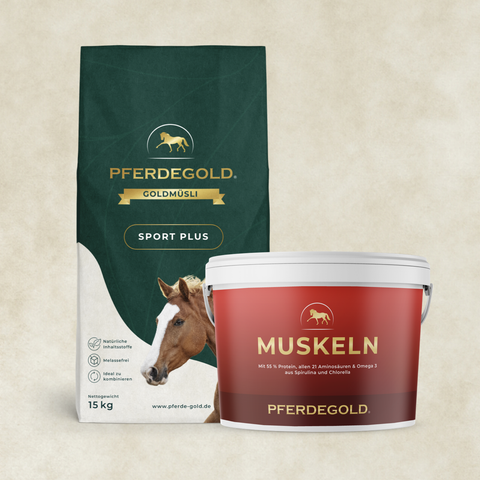 Das Pferdegold Sport Bundle: Muskelprotz mit Pferdefutter und einer roten Muskeln-Wanne für den Muskelaufbau ist auf einem hellen, strukturierten Hintergrund abgebildet.