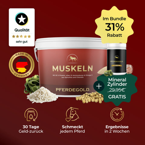 Pferdegold® Muskeln + gratis Mineral Zylinder jetzt mit 31% Rabatt: Deutsche Qualität, pflanzliche Proteine & optimale Unterstützung für den Muskelaufbau Ihres Pferdes.