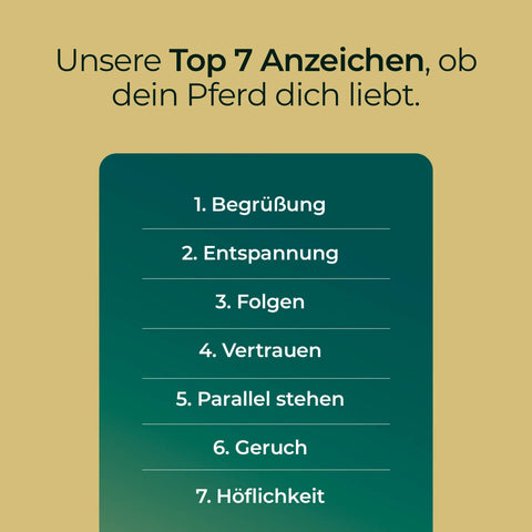 E-Book 7 Anzeichen, dass Dein Pferd Dich liebt