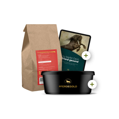 Das Pferdegold® Muskeln Mega-Bundle Probepackung, Futterschüssel und E-Book von Pferdegold-perfekte Essentials auf weißem Grund zur Unterstützung von Muskelaufbau und Ausdauer deines Pferdes beim Training.