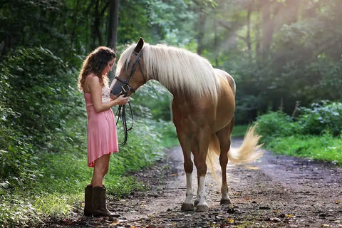 7 Anzeichen, dass Dein Pferd Dich liebt