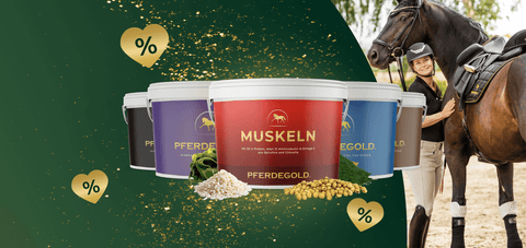 Eine Frau in Reitkleidung streichelt ein Pferd neben Pferdegold-Ergänzungsbechern und einem Rabattcode: VIP25.