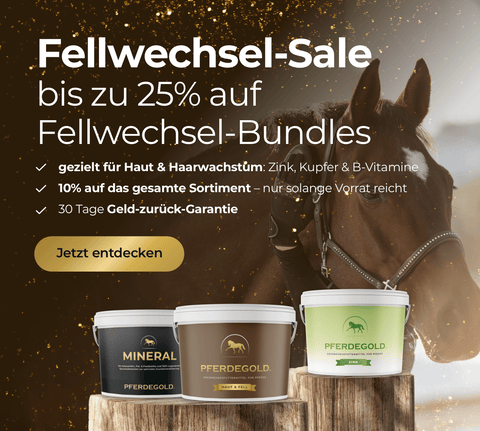 Ein braunes Pferd mit Zaumzeug hinter einem Text, der für einen Fellwechsel-Verkauf von Pferdegold-Zusätzen wirbt.