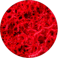 Astaxanthin (nativ)