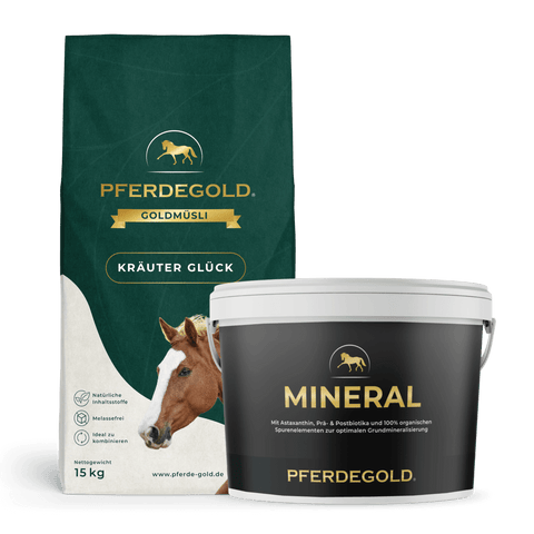 Ein Basic-Bundle: Atemmineral von Pferdegold, mit pferdeähnlicher Verpackung.