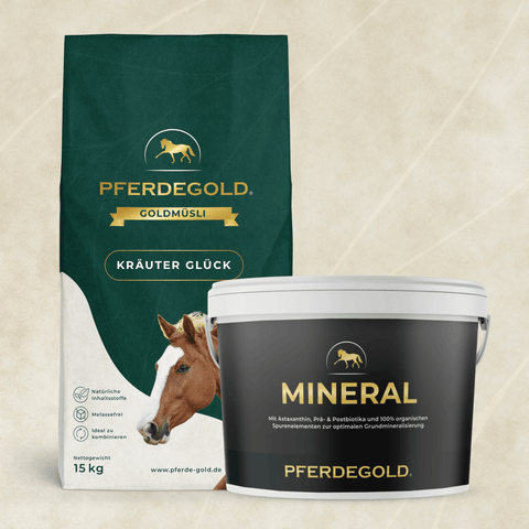 Ein Basic Bundle: Atemmineral von Pferdegold, mit Pferdebildern auf den Etiketten.