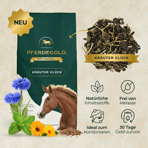 Tasche von Pferdegold Basic Bundle: Atemmineral mit Pferdebild und Symbolen, die natürliche Inhaltsstoffe und gesundheitliche Vorteile für Pferde hervorheben.