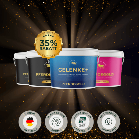 Vier Pferdegold® Senioren Spezial Wannen mit einer goldenen 35% Rabatt-Plakette und vier darunter liegenden Produktmerkmalen.