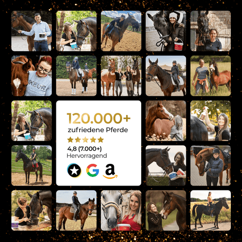 Collage von glücklichen Menschen mit Pferden. Zentrale Statistiken: 120.000+ zufriedene Pferde mit Pferdegold® Winter Vital, 4,8-Sterne-Bewertung, Top-Bewertung auf den großen Seiten.