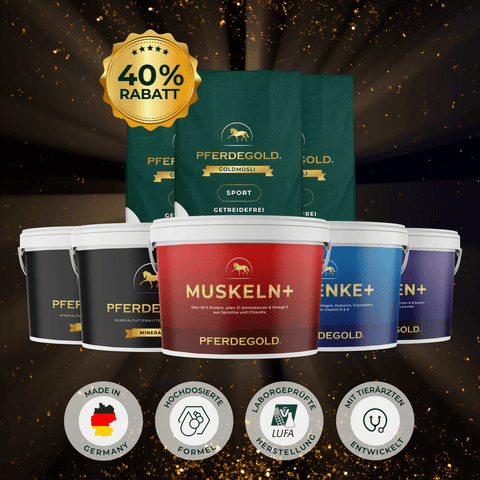 Pferdegold® Wintertraining Spezial: Ergänzungsfuttermittel & Müsli für Pferde. 40%-Rabatt-Plakette, Qualitäts- und Herkunftssymbole auf schwarzem Hintergrund.