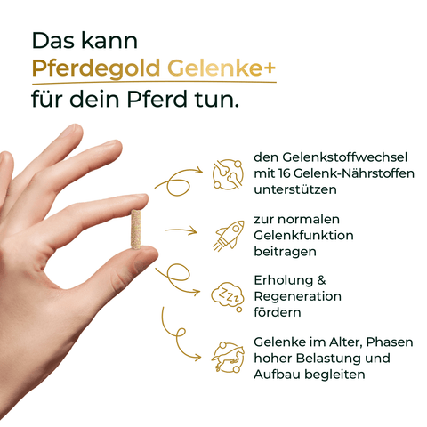 Hand hält Kapsel; daneben Text mit Vorteilen von Pferdegold® Mineral 2.0 & Gelenke+ für die Gelenkgesundheit und optimale Mineralstoffversorgung bei Sportpferden.