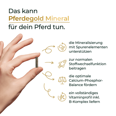 Hand hält Tablette; daneben Vorteils-Liste von Pferdegold® Mineral 2.0 & Muskeln+ als Nährstoffergänzung für Pferde, mit Aminosäuren und Proteinen auf weißem Hintergrund.