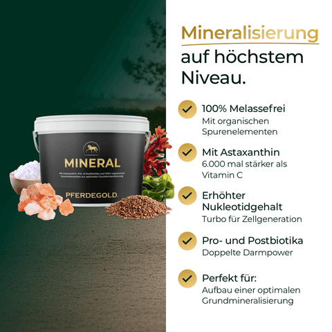 Schwarzer Becher mit der Aufschrift Pferdegold® Mineral 2.0 & Muskeln+, der Mineralien, Leinsamen, Aminosäuren und Proteine enthält, mit einer Auflistung der Vorteile daneben.