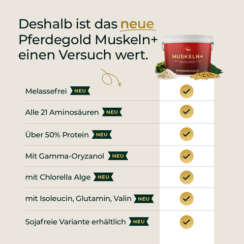 Produktanzeige auf Deutsch: Entdecke Mineral 2.0 & Muskeln+ von Pferdegold® - die Nährstoffergänzung für Pferde mit Aminosäuren und Proteinen. Produktbehälter oben rechts abgebildet.