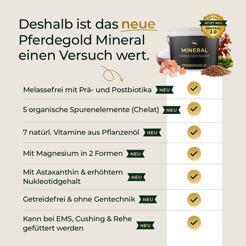 Liste der Vorteile von Pferdegold® Mineral 2.0 & Nerven+, daneben gelbe Häkchen und eine Dosis - optimale Grundmineralisierung für die Nerven und das Wohlbefinden Ihres Pferdes.