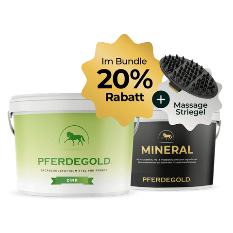 Zwei Kübel Pferdegold® Fellwechsel Basis Duo Zink + Mineral, eine Massagebürste und ein 20% Rabatt-Bundle-Schild - perfekt für Darmgesundheit und das allgemeine Wohlbefinden des Pferdes.