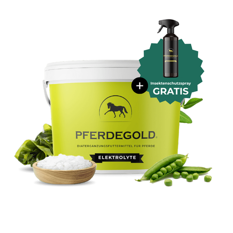 Pferdegold® Elektrolyte + gratis Insektenschutzspray: Elektrolyte für Pferde im praktischen Eimer zur Unterstützung des Elektrolythaushalts und des Futterbedarfs - inkl. kostenlosem Insektenschutzspray.