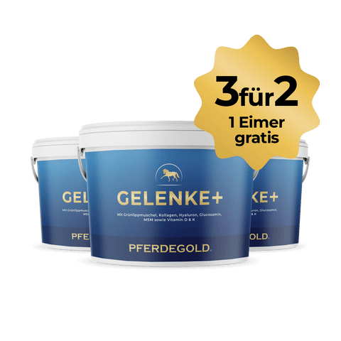 Drei blaue Pferdegold® 3 für 2 - Gelenke+ Wannen mit kostenloser Eimer-Promo - ideale Ergänzungsfuttermittel für starke Pferdegelenke.