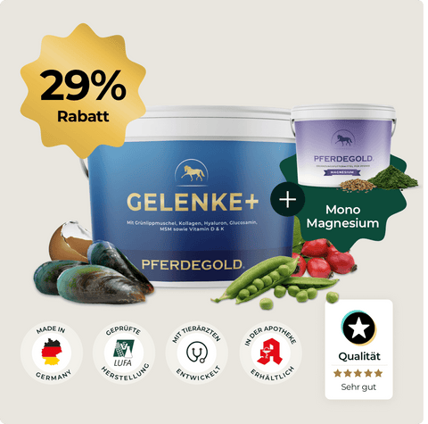 Pferdegold® Gelenke + Magnesium jetzt 29% Rabatt! Für gesunde Gelenke: Pferdegold-Qualität mit geprüfter Herkunft.