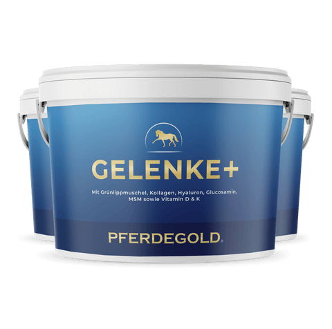 Drei blaue Becher mit Pferdegold® Gelenke+ 3 für 2 von Pferdegold zur Unterstützung gesunder Gelenke bei Pferden auf weißem Hintergrund.
