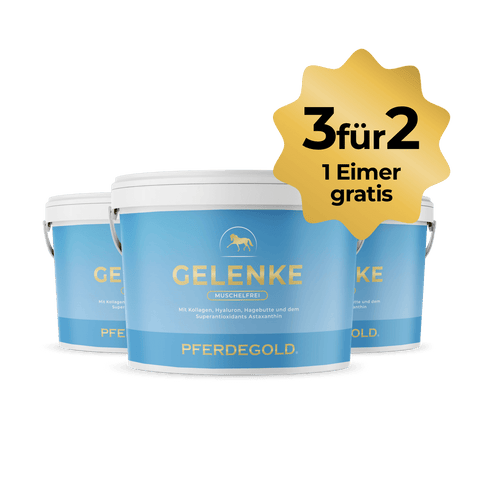 Drei blaue Eimer Pferdegold® Gelenke Muschelfrei 2.0 3für2 mit dem gelben Etikett "3 für 2: 1 Eimer gratis" - ideal zur Unterstützung der Gelenke und geeignet für Pferde mit empfindlichem Magen.