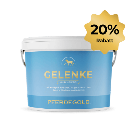Pferdegold® Gelenke Muschelfrei 20% im blauen Eimer mit gelbem Rabatt-Aufkleber auf weißem Hintergrund - ideal bei empfindlichem Magen, enthält wertvolles Kollagen.