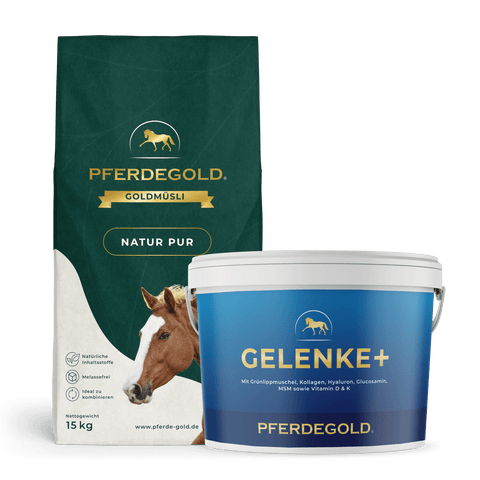 Ein Pferdegold Senioren Bundle: Gelenkstark, bestehend aus einem 15kg Futtersack und einer getreidefreien Gelenke+ Ergänzung mit Omega 3, steht nebeneinander.