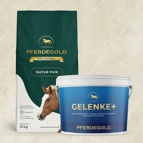Das Senioren Bundle: Gelenkstark von Pferdegold wird auf einem beigen Hintergrund dargestellt.