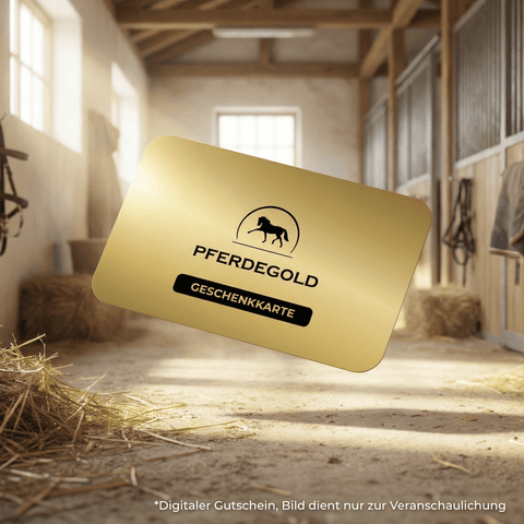 Ein Pferdegold® Gutschein schwebt in einem sonnenbeschienenen Stall mit Heu auf dem Boden und Pferdeboxen im Hintergrund.