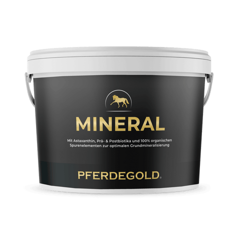 Weiße Kunststoffwanne mit der Aufschrift Mineral 2.0 von Pferdegold, mit goldenem Pferdelogo auf schwarzem Hintergrund. Ideal als hochwertiges Mineralfutter für Ihr Pferd.