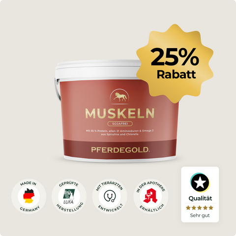 Roter Becher Pferdegold® Muskeln 2.0 sojafrei 25 % Ergänzungsfuttermittel für Pferde mit Stern "25 % Rabatt", Qualitäts- und Zertifizierungsplakette - ideal für Muskelaufbau und Ausdauer mit pflanzlichen Proteinen.
