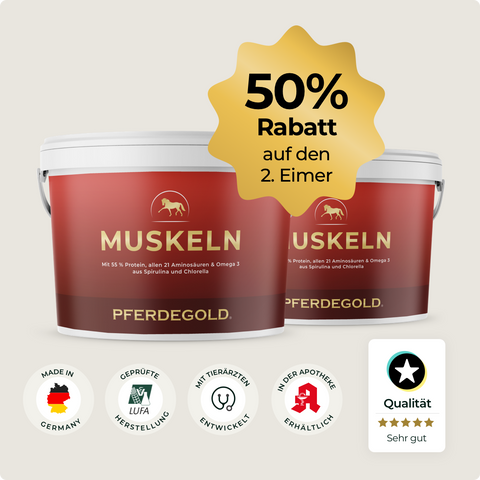 Zwei rote Pferdegold® Muskeln 2.0-Eimer mit "50% auf den 2. Eimer"-Badge und Gütesiegeln - perfekt für effektiven Muskelaufbau beim Pferd mit hochwertigem Futter.