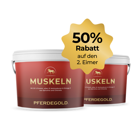 Zwei rote Pferdegold® Muskeln 2.0 Eimer, Ihr ideales Pferdefutter für Muskelaufbau Pferd, mit einem gelben Sternenhimmel mit der Aufschrift "50% auf den 2. Eimer".