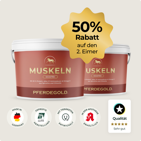 Zwei Eimer Pferdegold® Muskeln 2.0 sojafrei mit der Plakette "50 % auf den 2. Eimer" und fünf Qualitätssiegeln darunter - ideal für Muskelaufbau und Ausdauer durch pflanzliche Proteine.