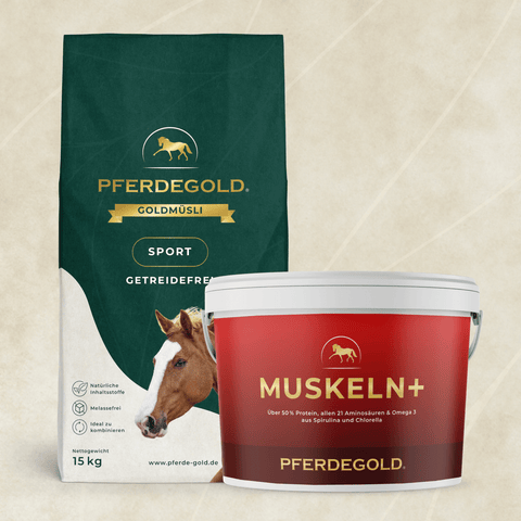 Ein Pferdegold Sport Bundle: Muskelprotz getreidefrei wird auf einem hellen Hintergrund angezeigt.