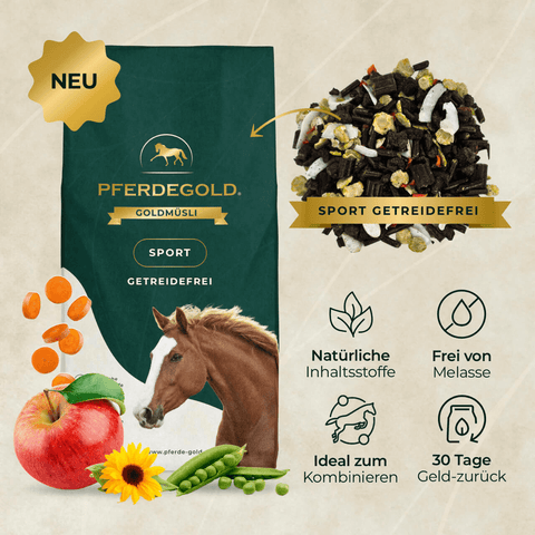 Das Sport Bundle: Muskelprotz getreidefrei von Pferdegold enthält natürliche, getreidefreie Zutaten, ideal für eine proteinreiche Ernährung und zur Unterstützung des Muskelaufbaus bei Pferden. Icons heben die Vorteile für muskelaufbauende Pferde und aktive Pferde hervor.