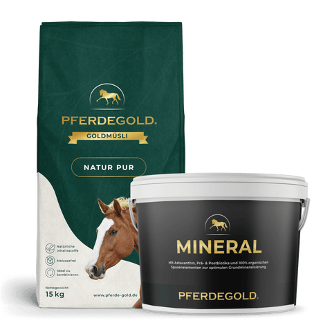 Das Basic Bundle: Naturkraft von Pferdegold enthält einen grünen Pferdefuttersack und einen weißen Mineralstoffbecher, beide für die Pferdeernährung konzipiert - faserreich und getreidefrei müsli für pferde, ideal für eine ausgewogene und gesunde Pferdeernährung.