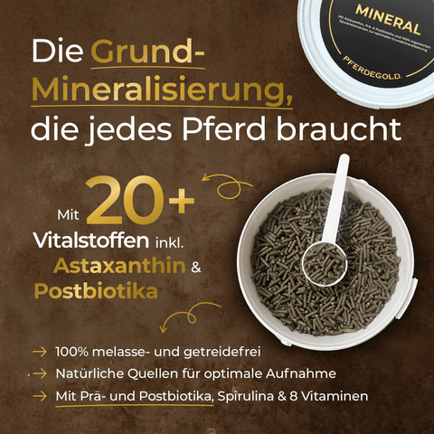 Offener Behälter mit braunen Pellets und Löffel, der Pferdegold Basic Bundle präsentiert: Naturkraft. Dieses Mineralstoffpräparat für Pferde hebt in deutscher Sprache die wichtigsten Vorteile für eine optimale Pferdeernährung hervor.
