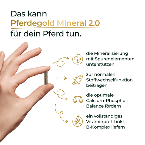 Eine Hand hält einen Mineral-Pressling; rechts stehen Vorteile von Pferdegold Basic Bundle: Naturkraft - das getreidefreie Pferdefutter - für Pferde.