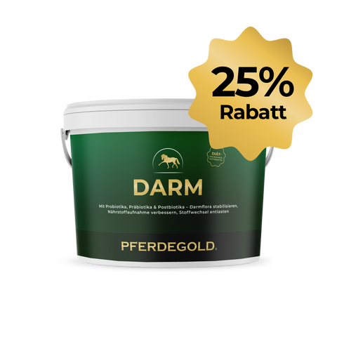 Grüner Pferdegold® Darm 25 % Eimer mit goldenem Sternchen, das 25% Rabatt anzeigt - ideales Diät-Ergänzungsfuttermittel zur Unterstützung von Pferden mit Insuffizienz-Dünndarmfunktion oder Verdauungsstörungen-Dickdarm.