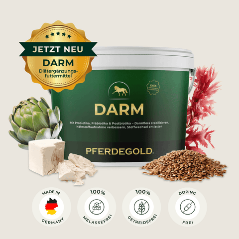 Pferdegold® Stressbalance (Darm + Nerven): Ergänzungsbecher mit Artischocke, Tofu, Leinsamen und Rotalgen zur Unterstützung der Verdauung und zum Stressabbau. Siehe Produktsymbole unten.