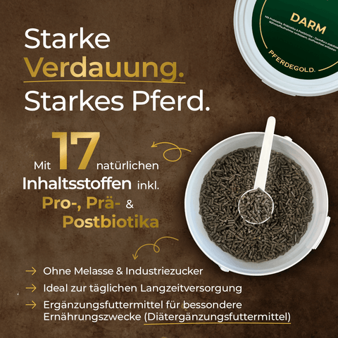 Braune Schale mit dunklen Pellets mit Schaufel und Produktetikett für Pferdegold® Stressbalance (Darm + Nerven) - ein Ergänzungsfuttermittel zur Unterstützung der Verdauung und der Nerven des Pferdes, ideal zum Stressabbau und zur Förderung einer optimalen Verdauung und starker Nerven.